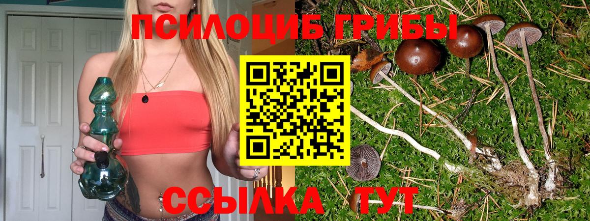 Галлюциногенные грибы Psilocybine cubensis Кудрово