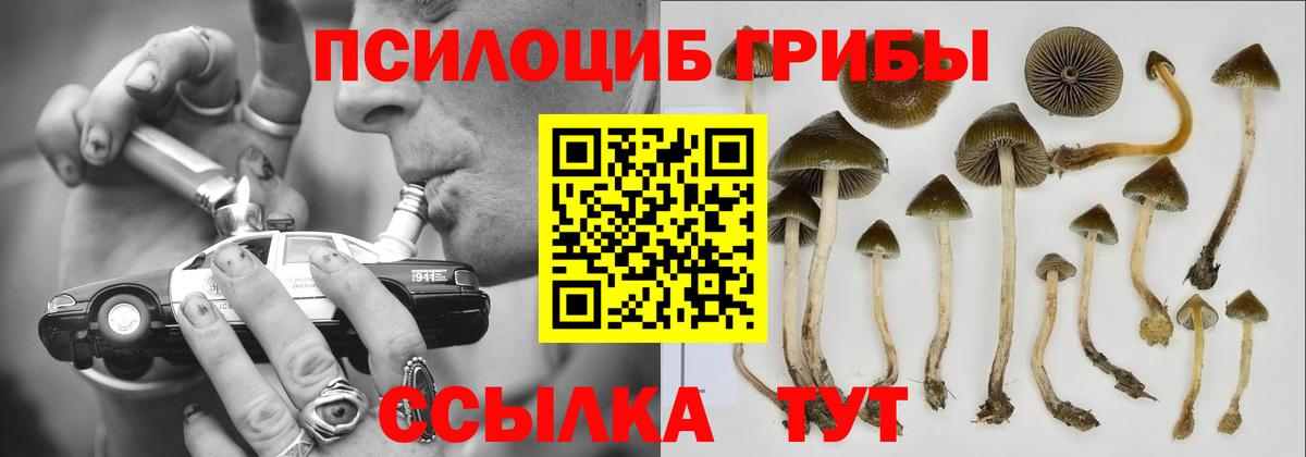 Псилоцибиновые грибы прущие грибы  Вход с VPN  Кудрово 
